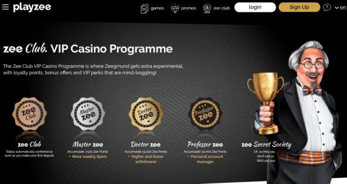Casino site's exclusive VIP program